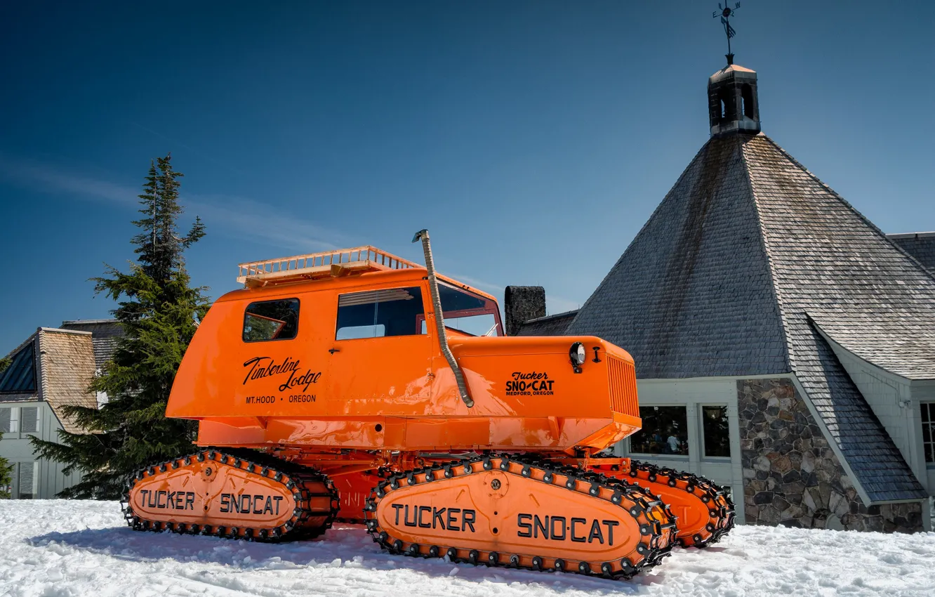 Фото обои зима, Орегон, Oregon, ратрак, Timberline Lodge ski area, Tucker Sno-Cat