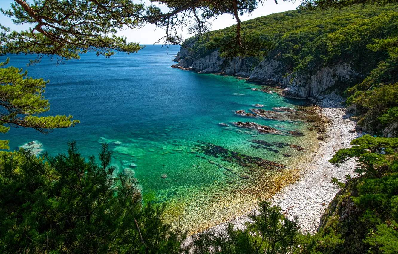 Фото обои colors, water, rocks, vegetation, cliff, water mirror