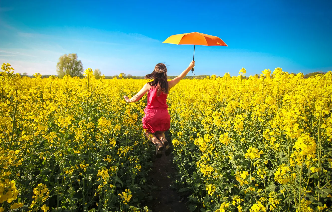 Фото обои girl, umbrella, field of gold