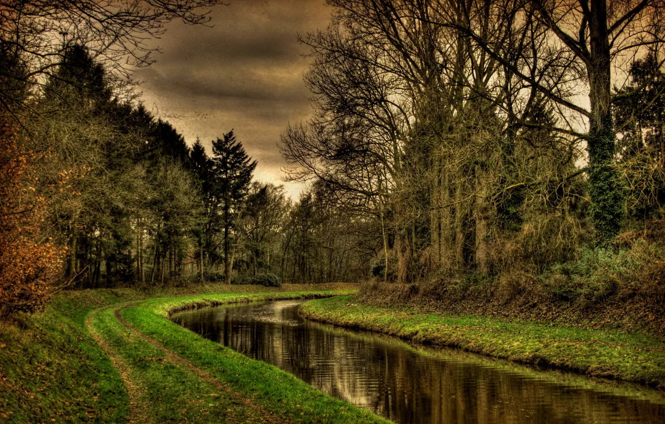 Фото обои дорога, лес, вода, река, канал