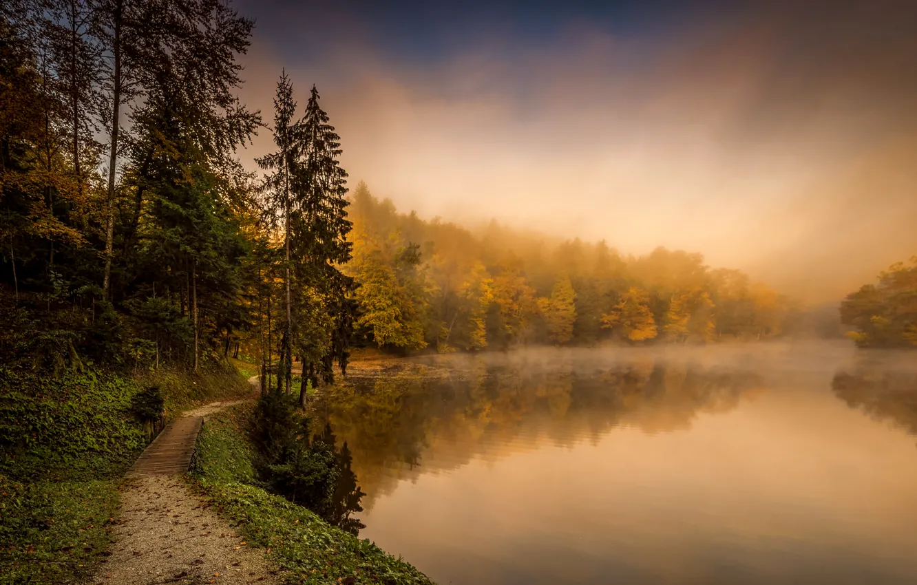 Фото обои осень, лес, деревья, туман, озеро, тропинка, Хорватия, Trakoscan
