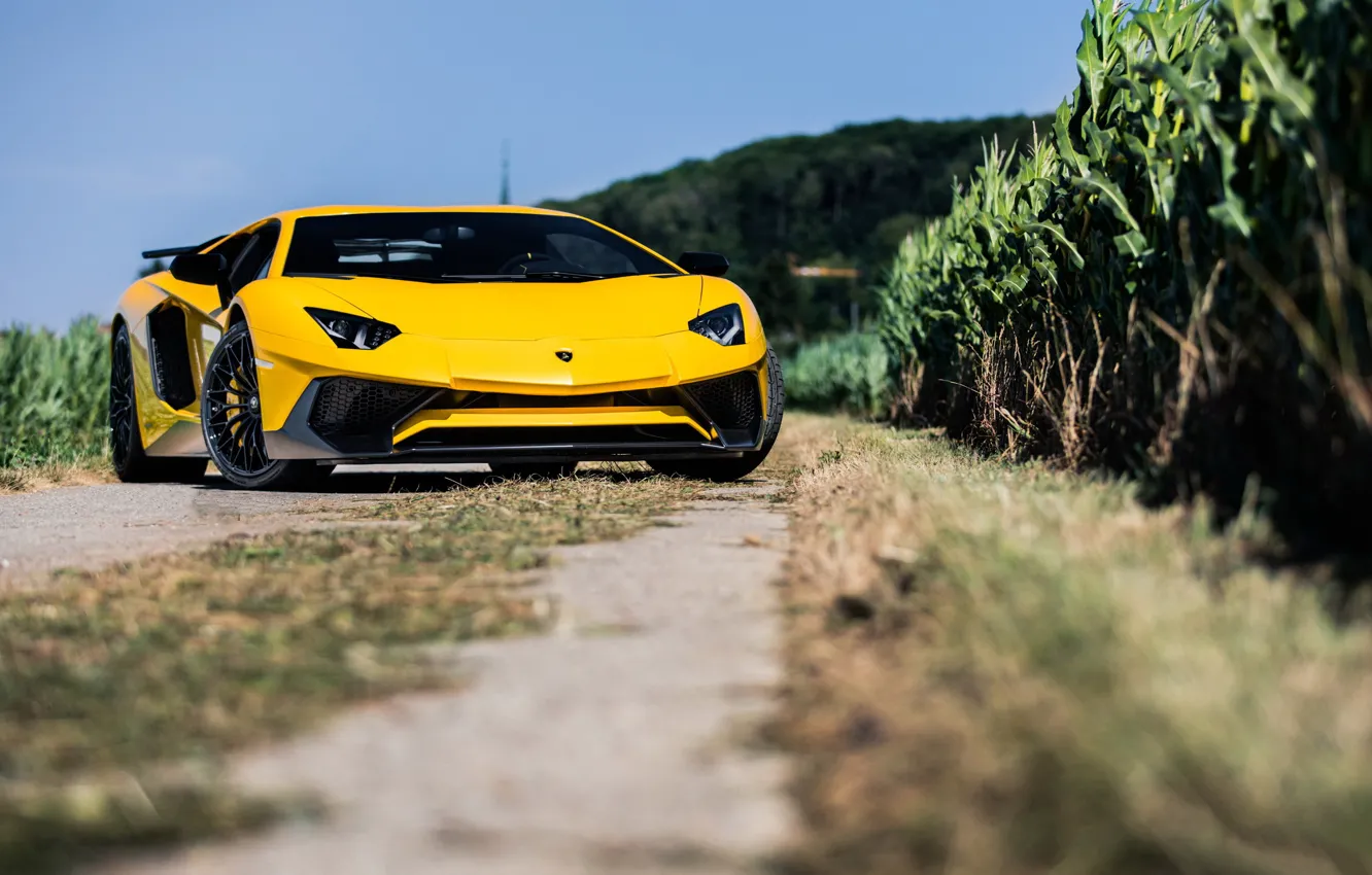 Фото обои Lamborghini, Aventador, LP-750
