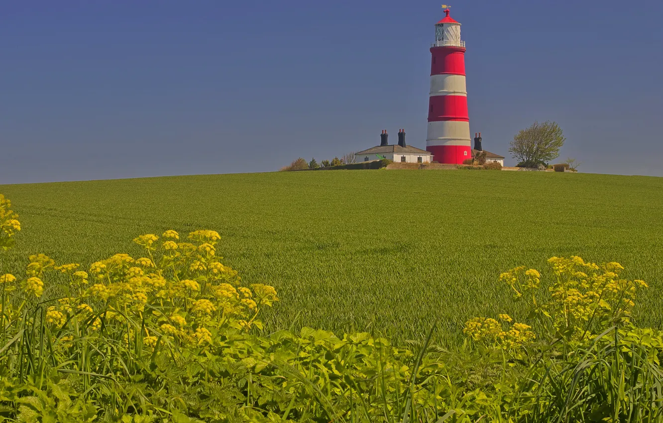 Фото обои поле, дом, маяк, Англия