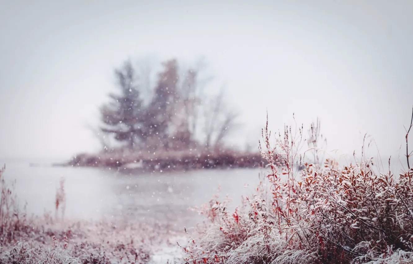 Фото обои осень, снег, природа