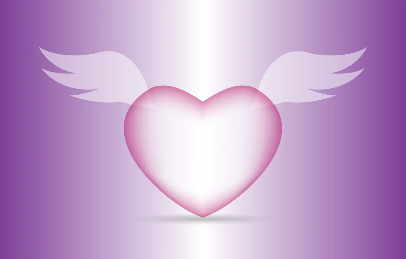Фото обои сердце, графика, крылья, Valentine's Day