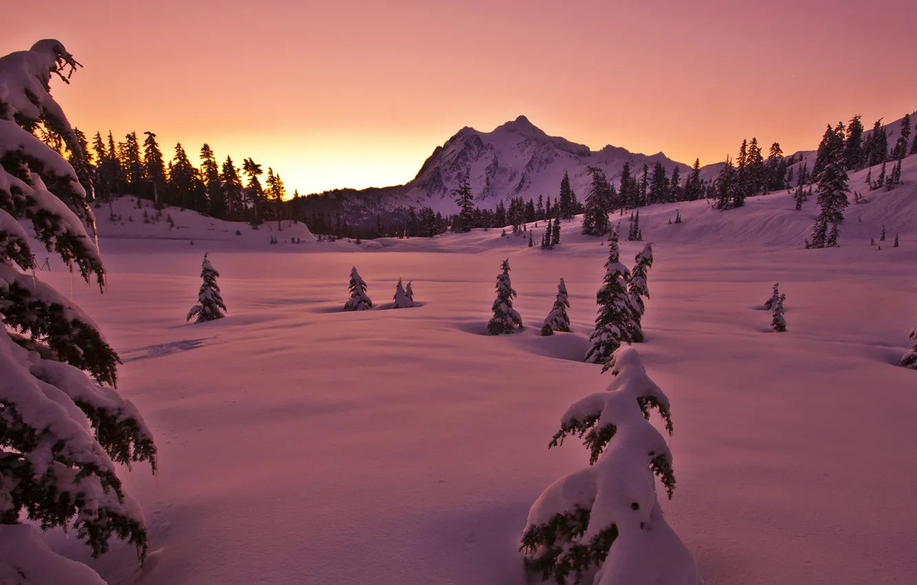Фото обои небо, снег, деревья, закат, гора, Зима
