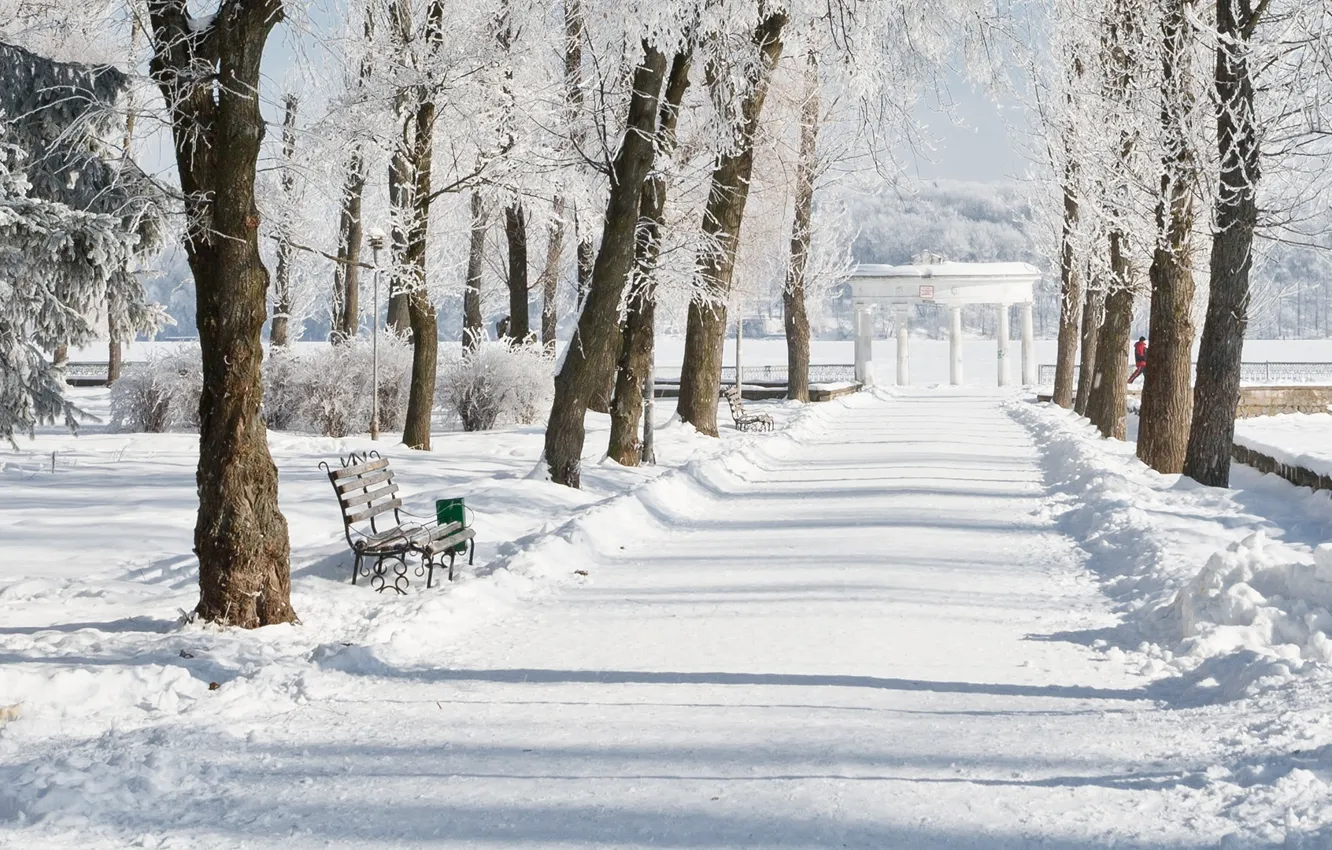 Фото обои зима, снег, парк