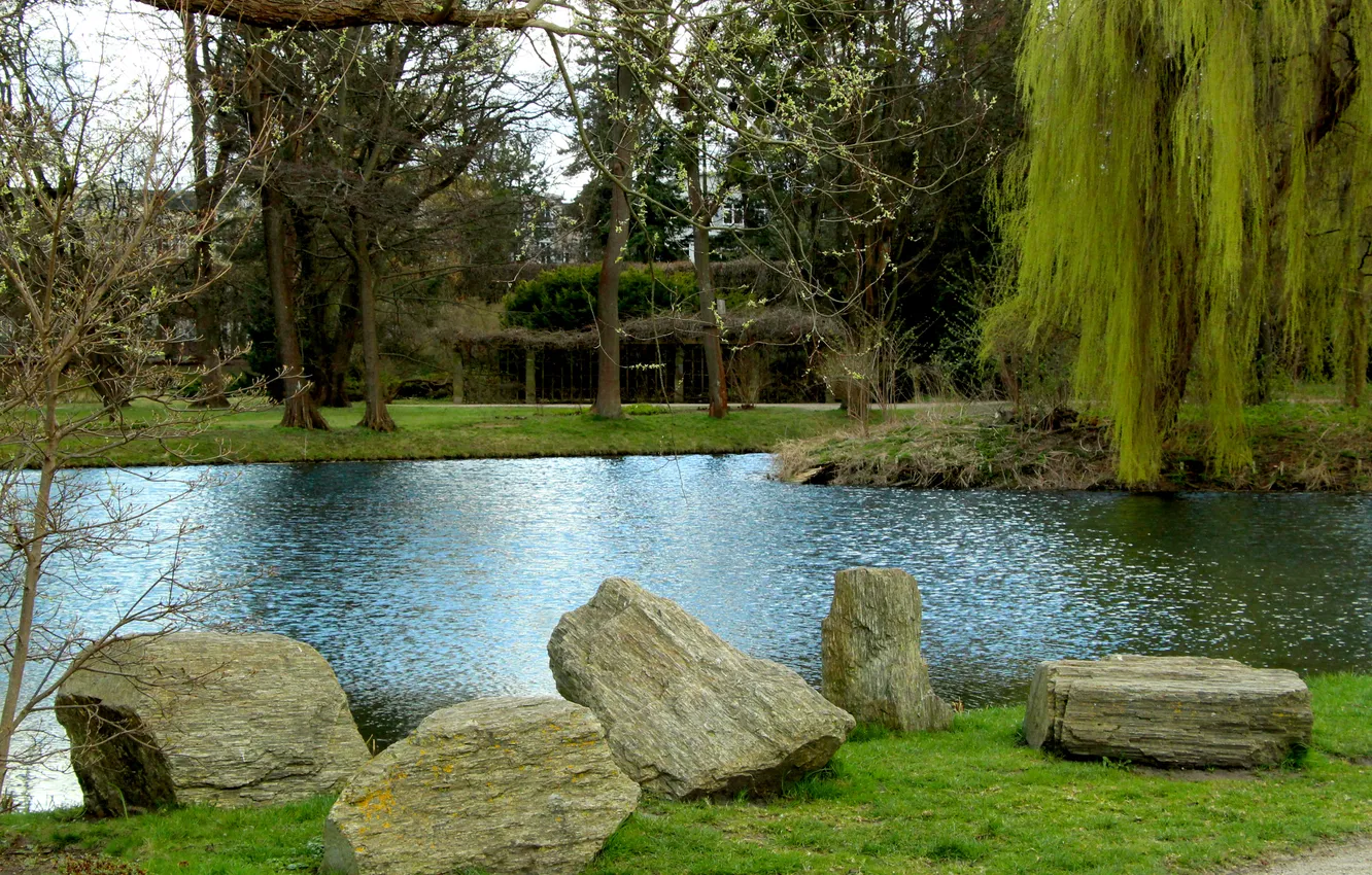 Фото обои park, lake, stones, pond