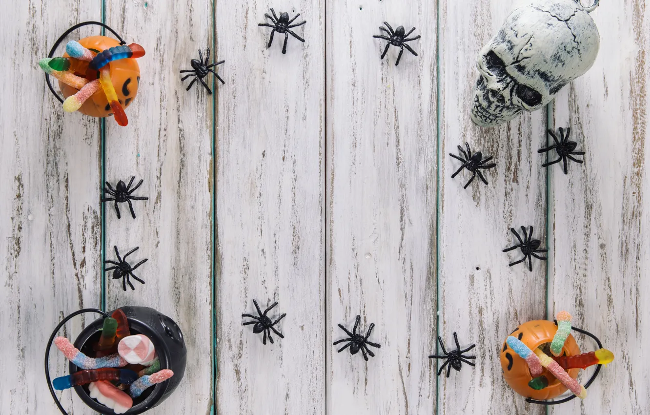 Фото обои праздник, череп, паук, хэллоуин, мармелад