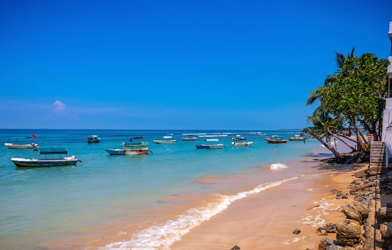 Фото обои песок, пляж, пальмы, лодки, Шри-Ланка