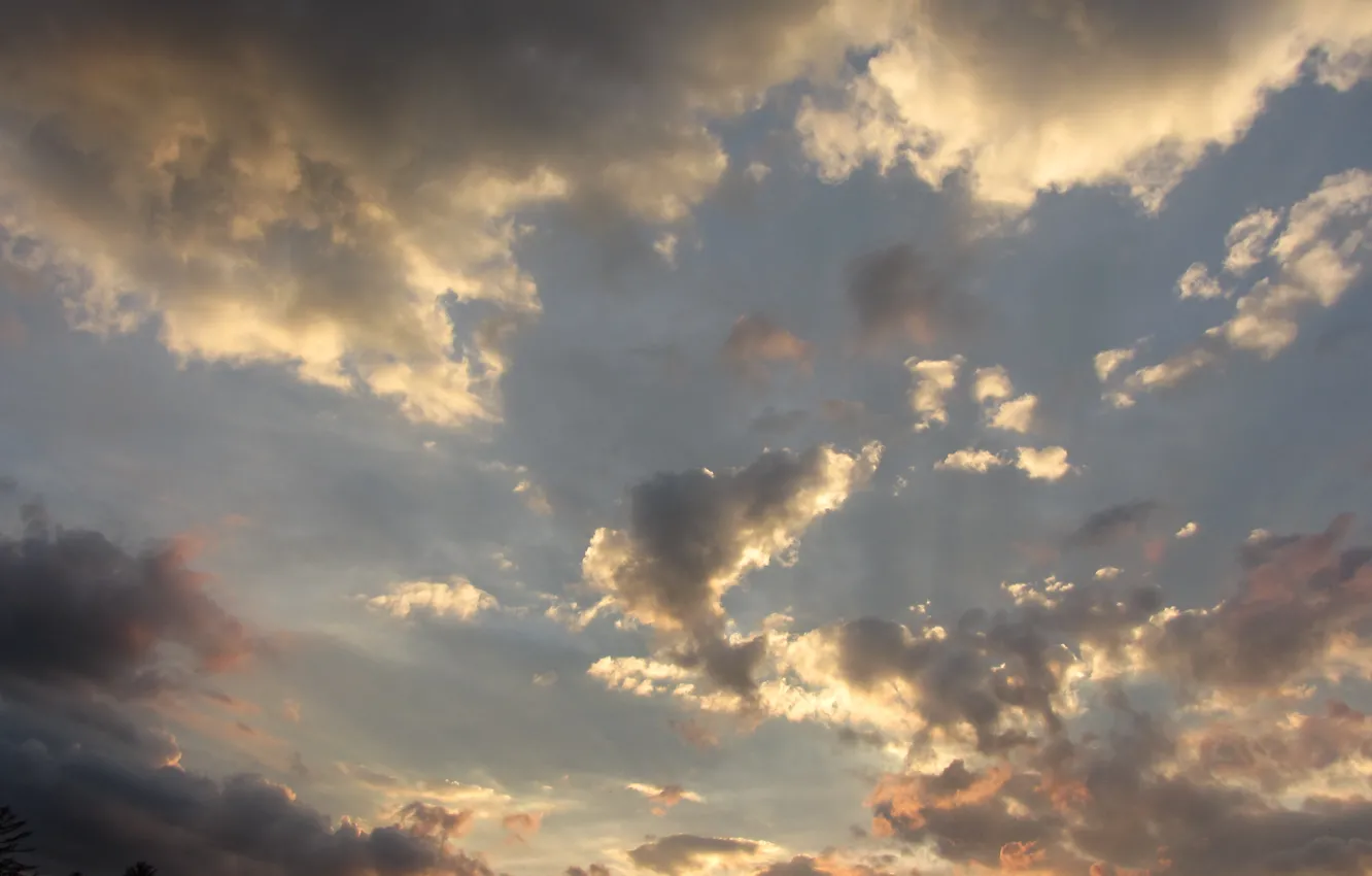 Фото обои sky, nature, sunset