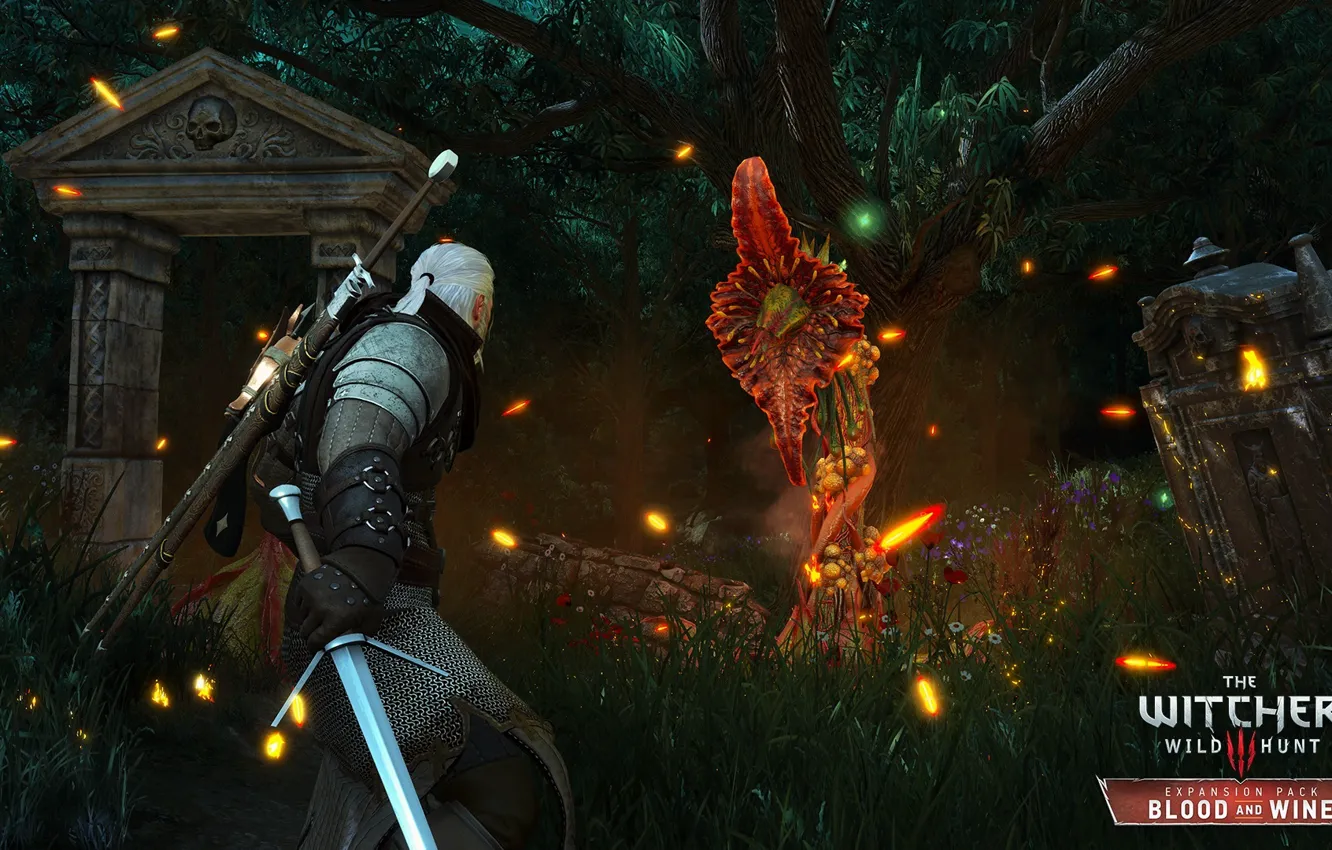 Фото обои game, DLC, RPG, CD Projekt RED, The Witcher 3: Wild Hunt, разработчик, Blood and Wine
