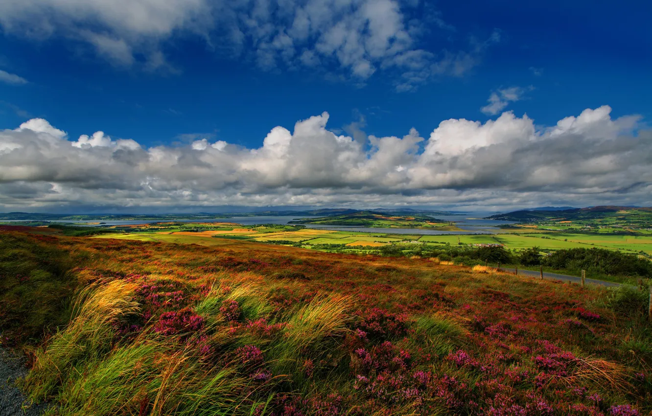 Фото обои поле, облака, цветы, синева, холмы, вид, поля, Англия
