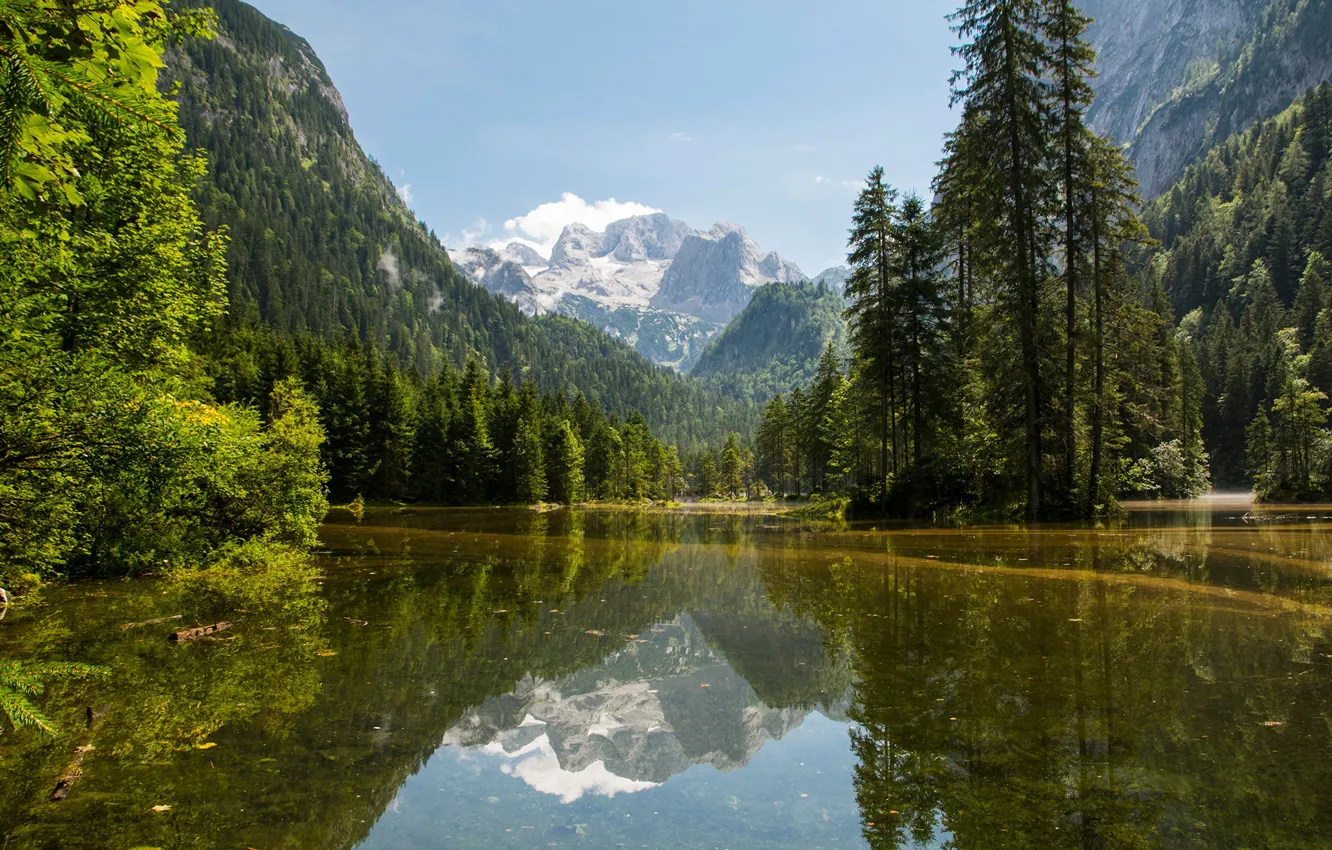 Фото обои лес, небо, солнце, деревья, горы, озеро, скалы, Австрия