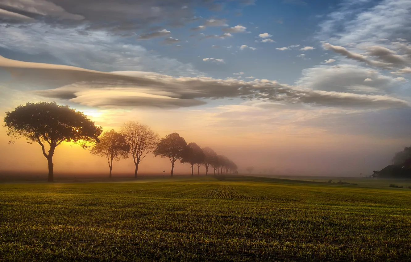 Фото обои поле, небо, закат, природа, туман, Солнце, Пейзаж
