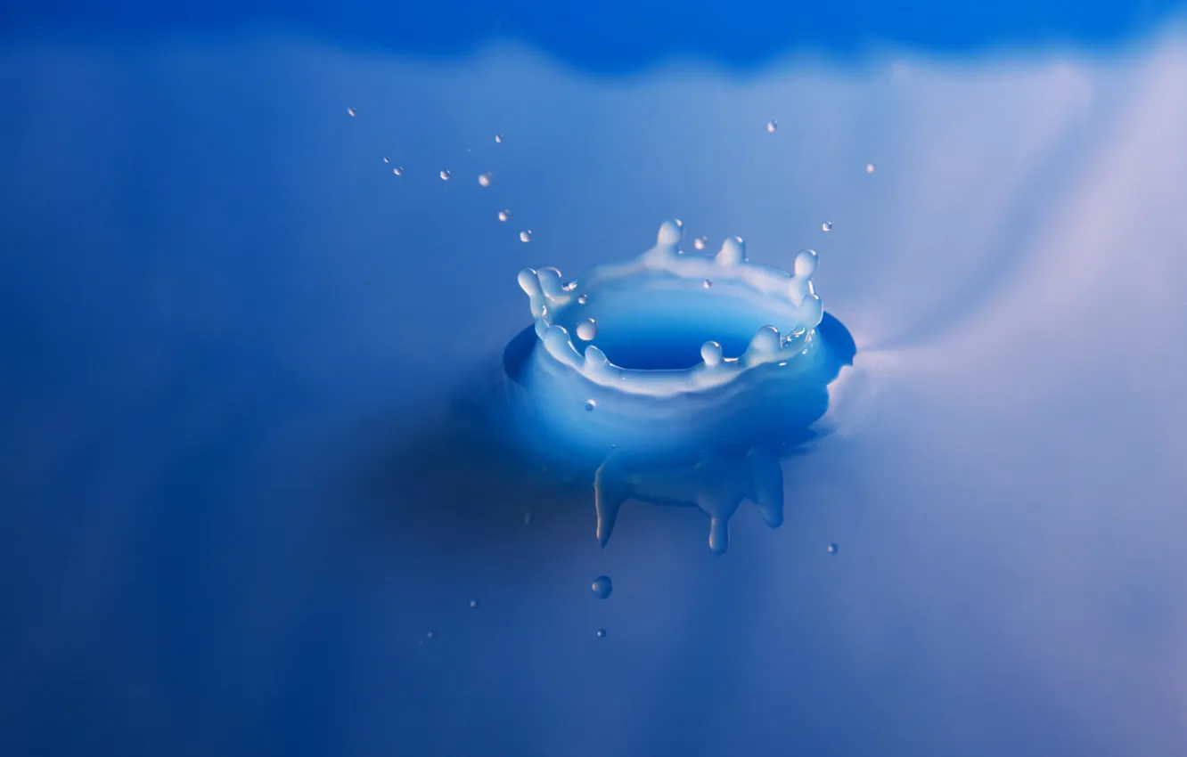 Фото обои вода, брызги, синий, молоко