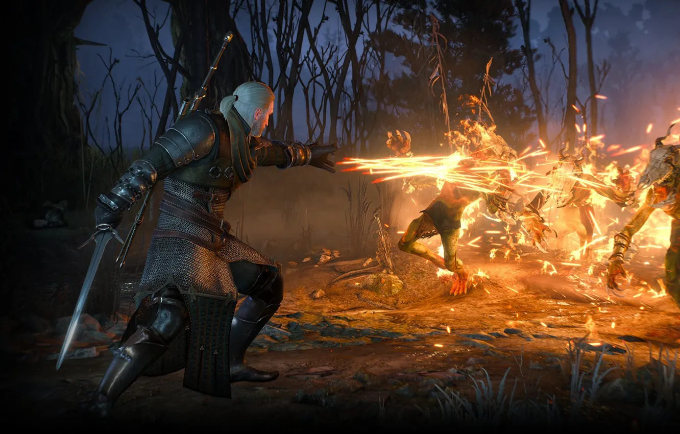 The witcher 3 dark souls фото 87