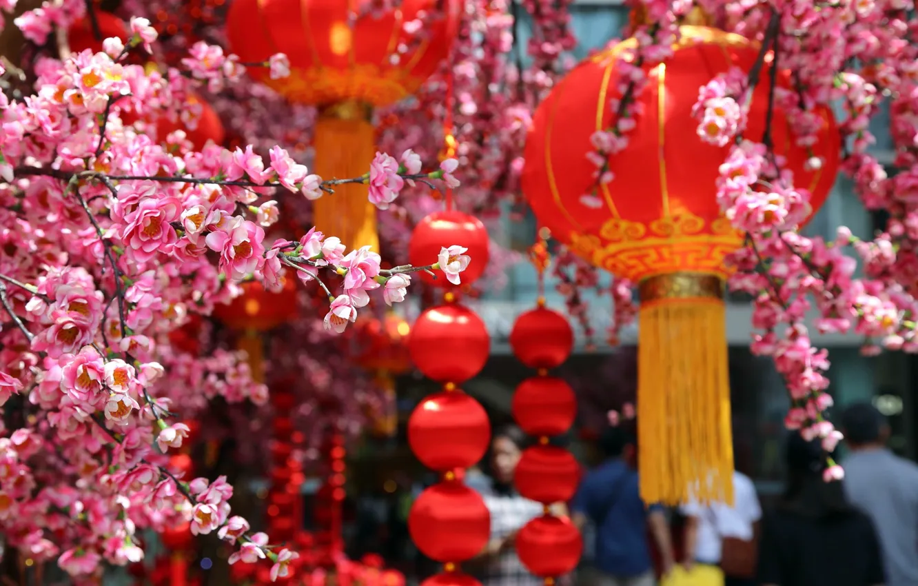 Фото обои Цветок, Персик, Фонарь, Peach, Lantern, Blossom, 2023, Китайский весенний фестиваль