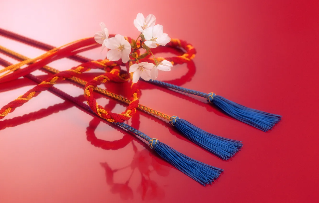 Фото обои цветок, веревка, Япония, шнур, тесьма