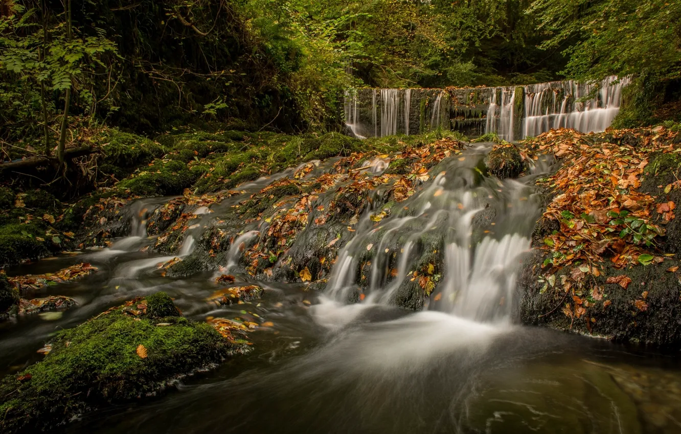 Фото обои осень, лес, Англия, водопад, каскад, England, Озёрный край, Lake District