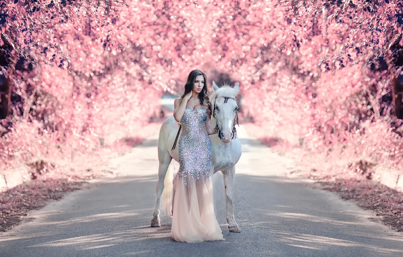 Фото обои дорога, девушка, лошадь, Alessandro Di Cicco, My fantasy world