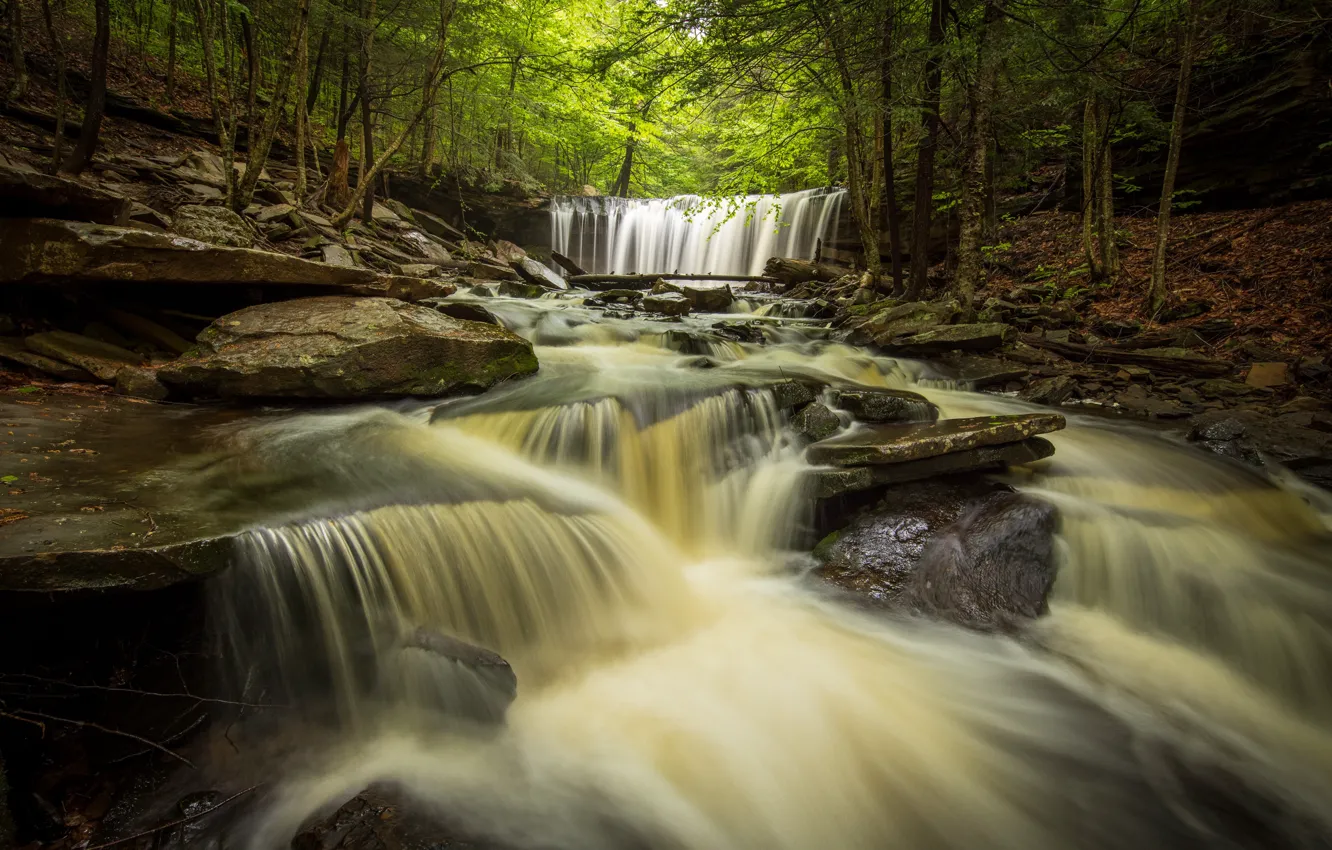 Фото обои лес, река, водопады, Пенсильвания, каскад, Pennsylvania, Ricketts Glen State Park, Парк штата Рикетс Глен