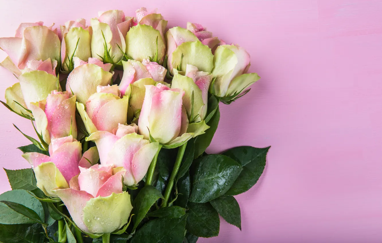 Фото обои фон, розовый, розы, букет, красивые