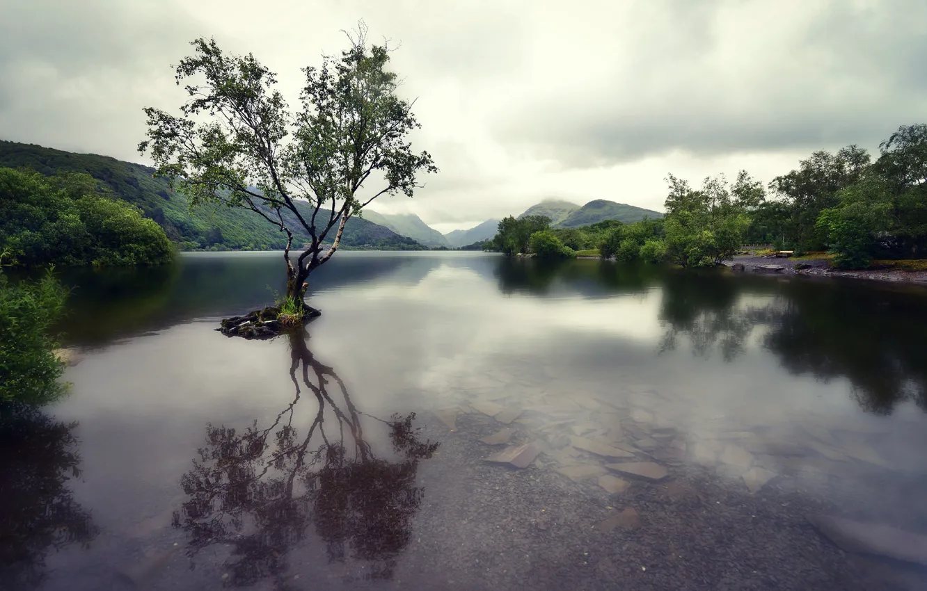 Фото обои горы, озеро, дерево, Уэльс, Сноудония