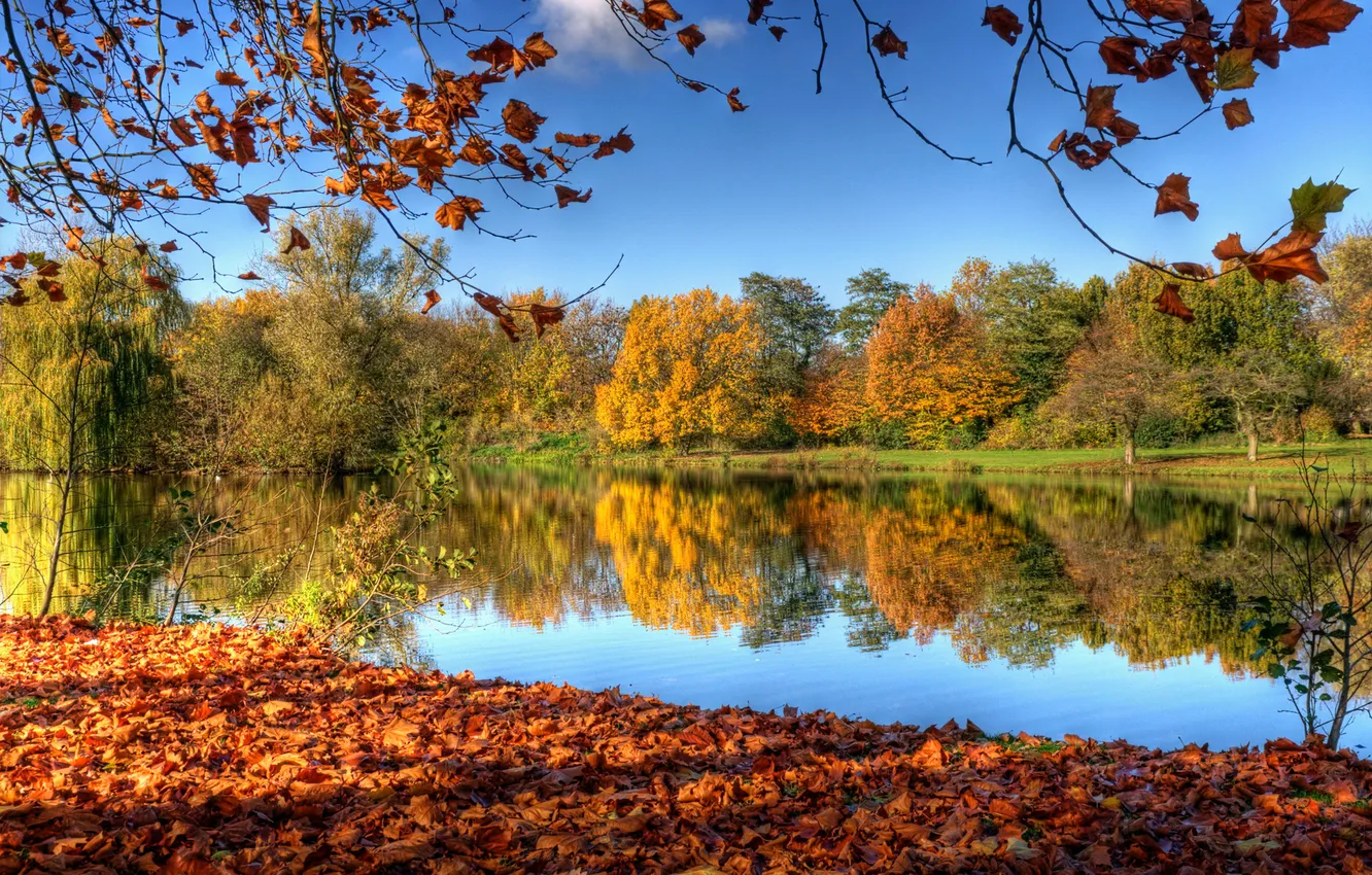 Фото обои осень, небо, листья, деревья, природа, отражение, река, Нидерланды