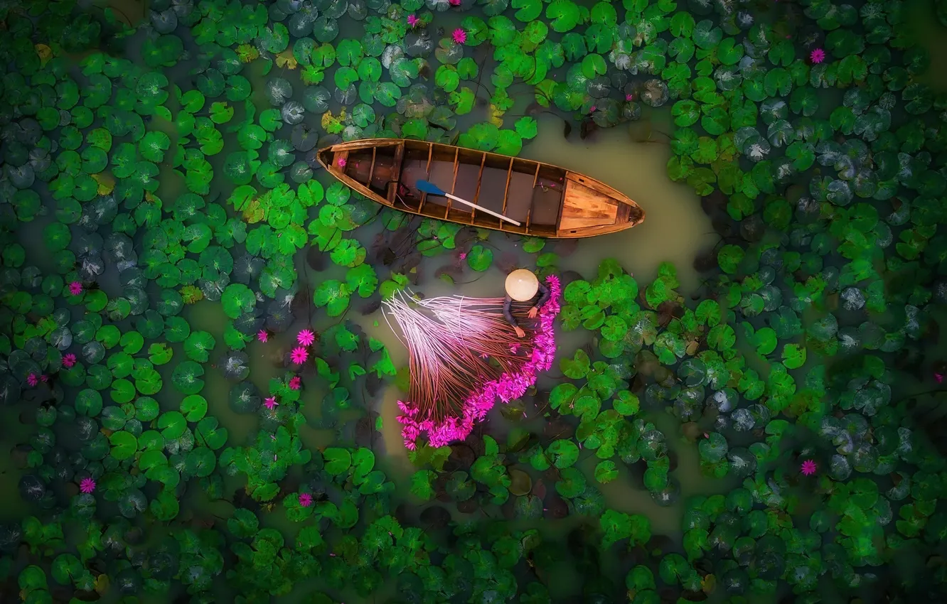 Фото обои вода, цветы, озеро, река, лодка, человек, болото, лотосы