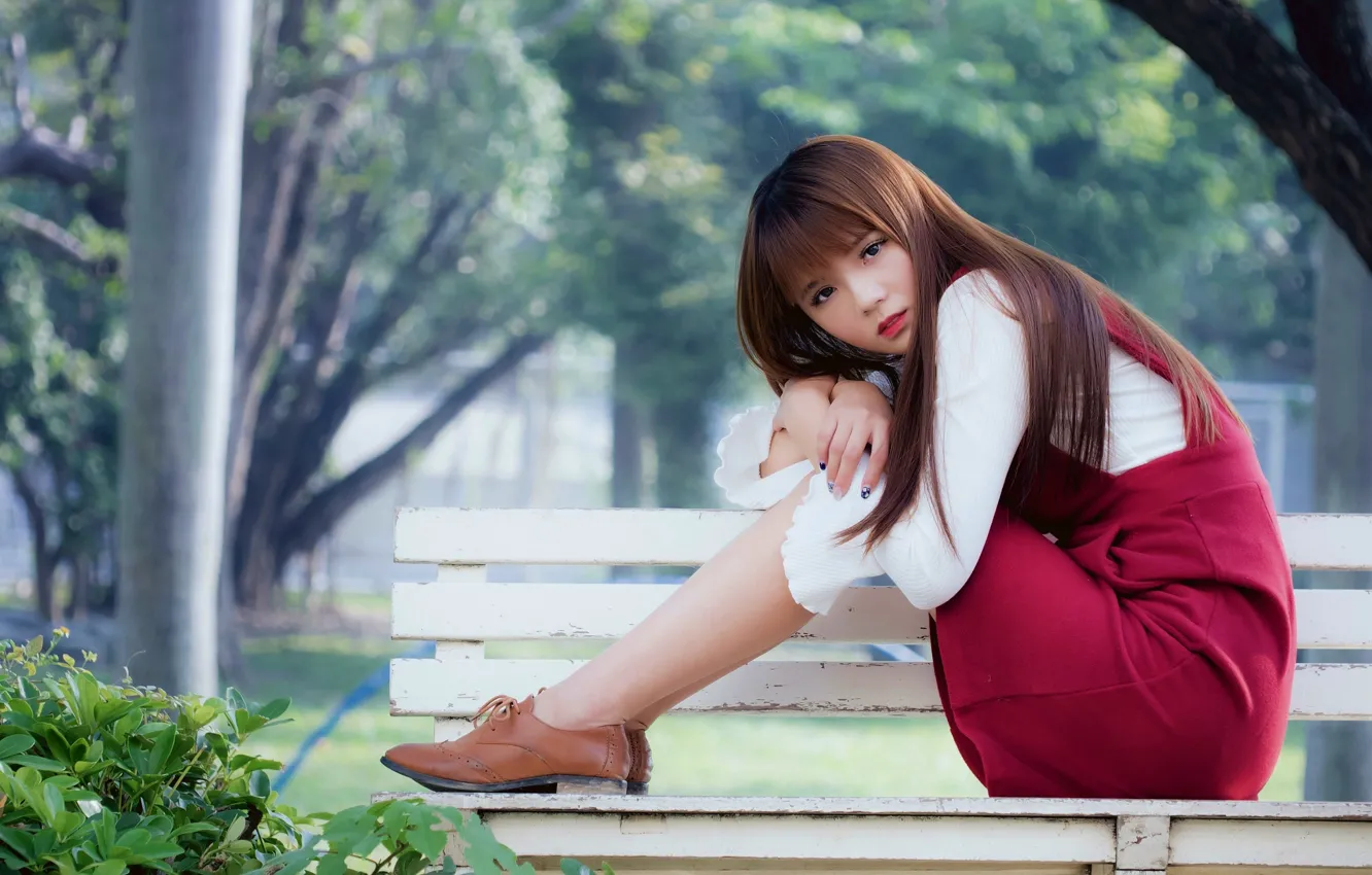 Фото обои девушка, скамейка, дерево, милая, girl, азиатка, asian, cute