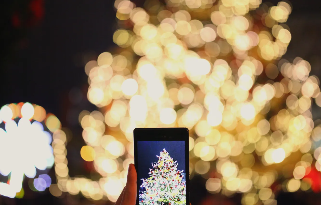 Фото обои огни, фото, праздник, елка, Новый Год, телефон, гирлянда, экран
