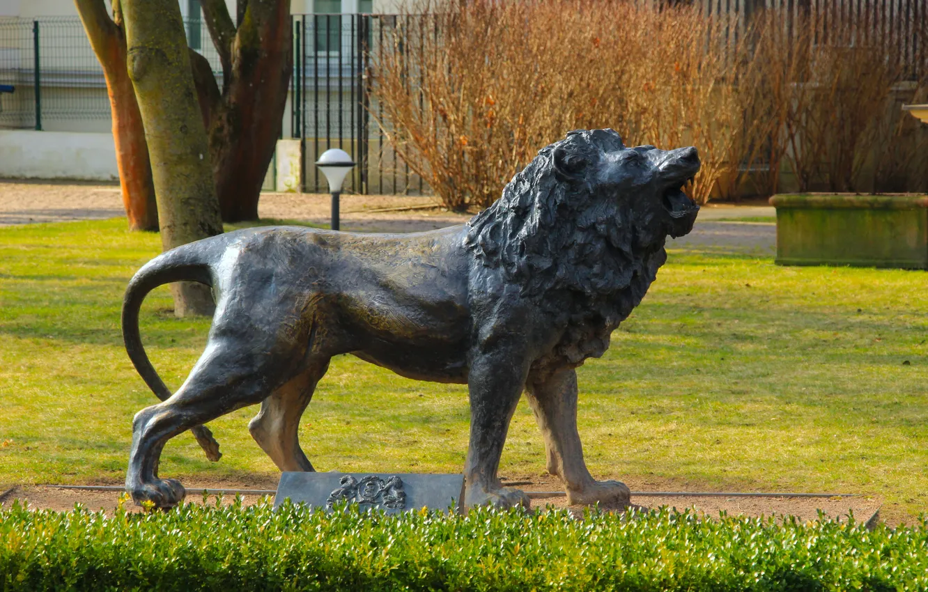 Фото обои park, lion, statua, monument
