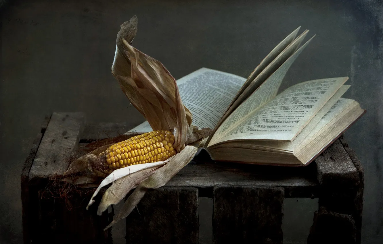 Фото обои фон, кукуруза, книга