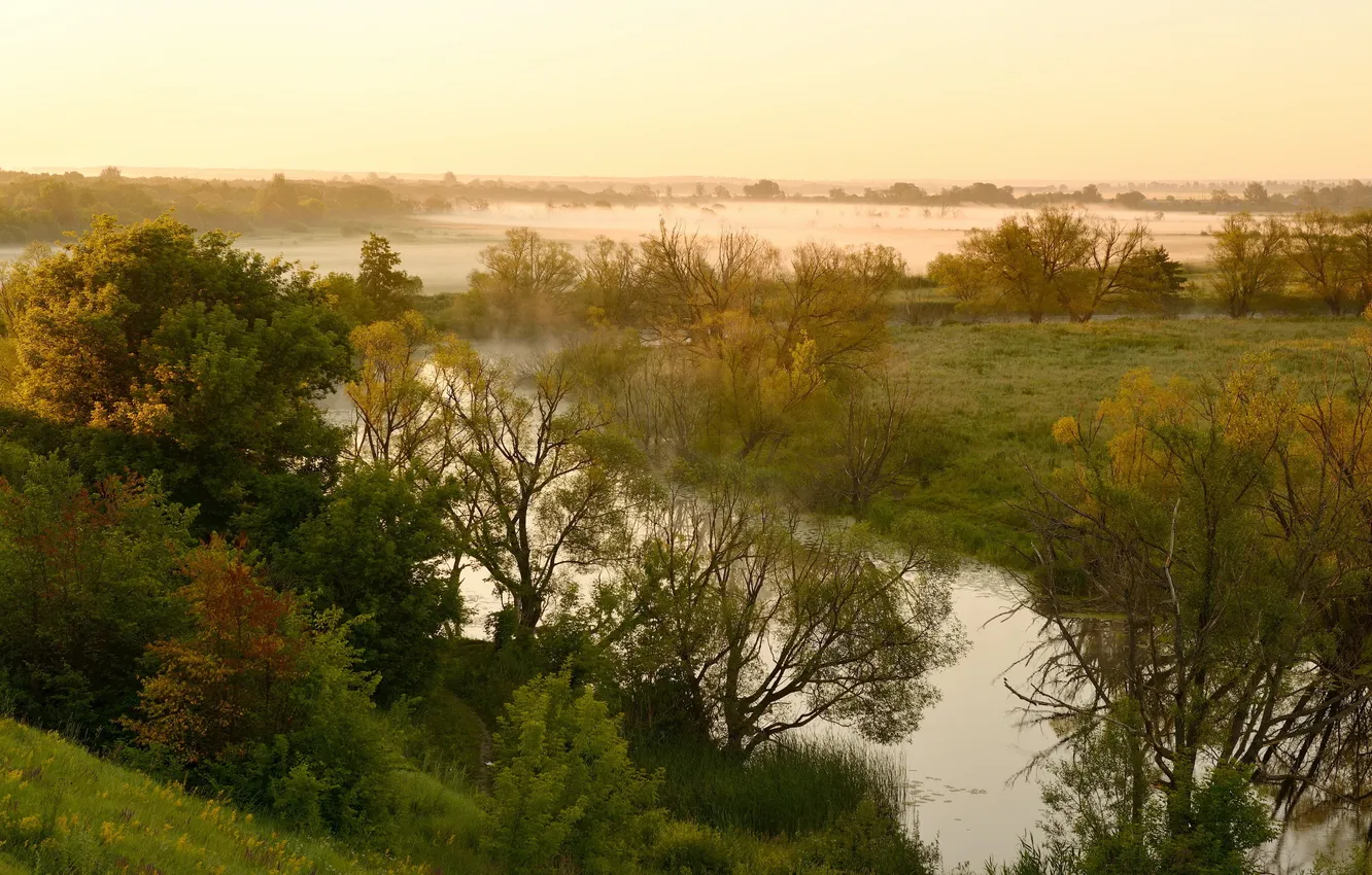 Фото обои природа, туман, река, утро