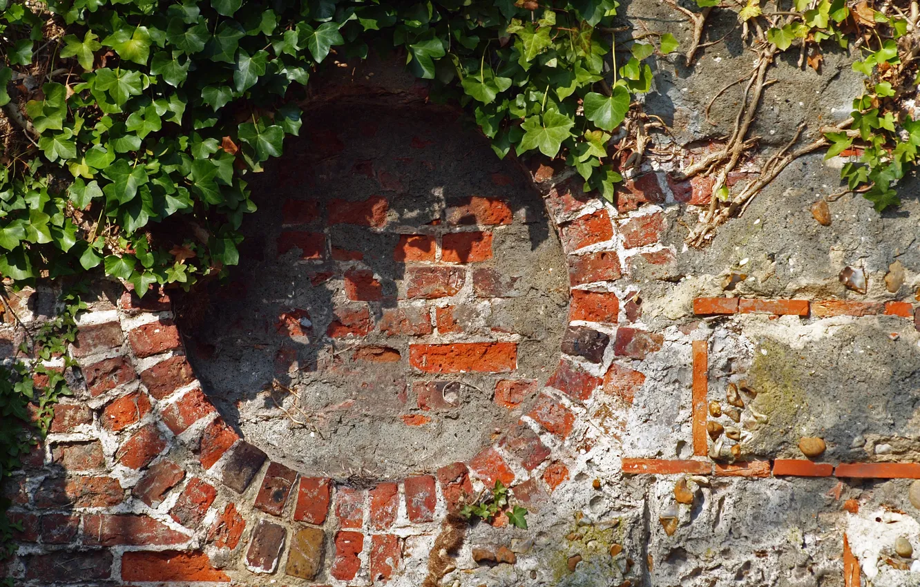 Фото обои листья, стена, камень, круг, кирпич, окно, кладка, солнечно