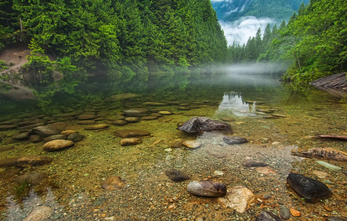 Фото обои лес, деревья, горы, туман, озеро, река, камни, Canada