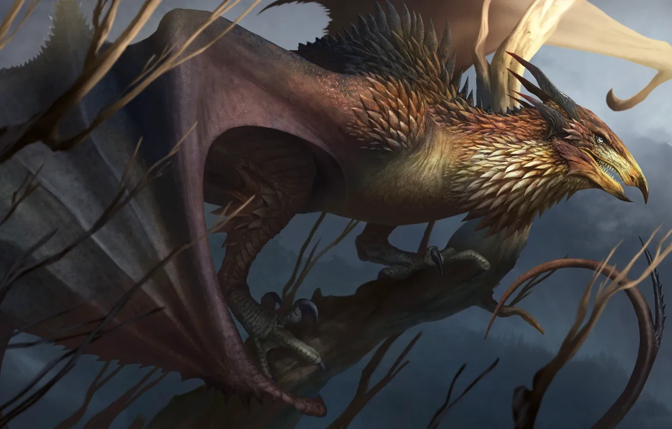 Фото обои дракон, крылья, клыки