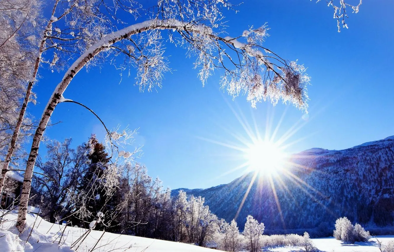 Фото обои зима, небо, солнце, лучи, снег, деревья, горы