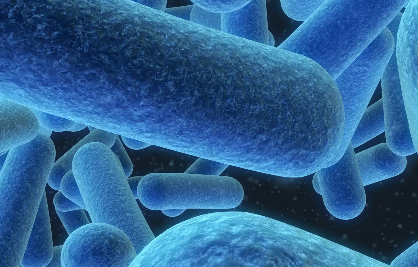 Фото обои blue, bacteria, microscopic