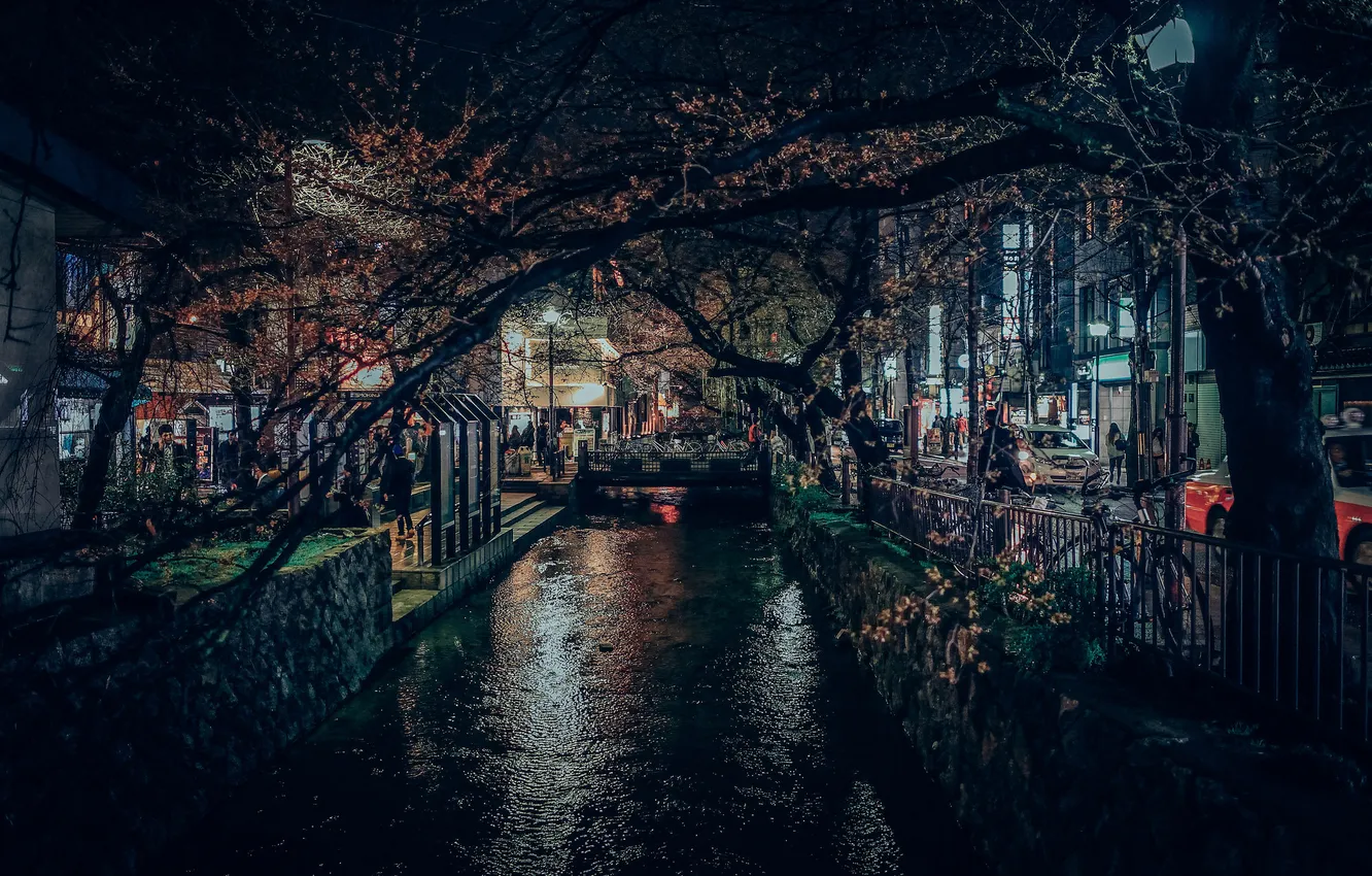 Фото обои свет, деревья, ветки, люди, Япония, канал, Киото, автомобили