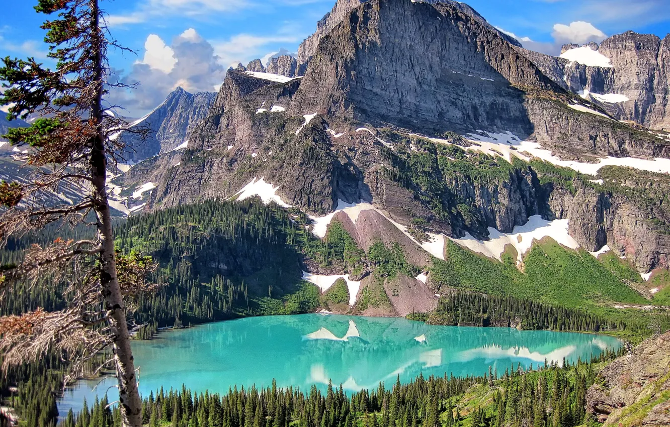 Фото обои лес, горы, природа, озеро, Glacier National Park