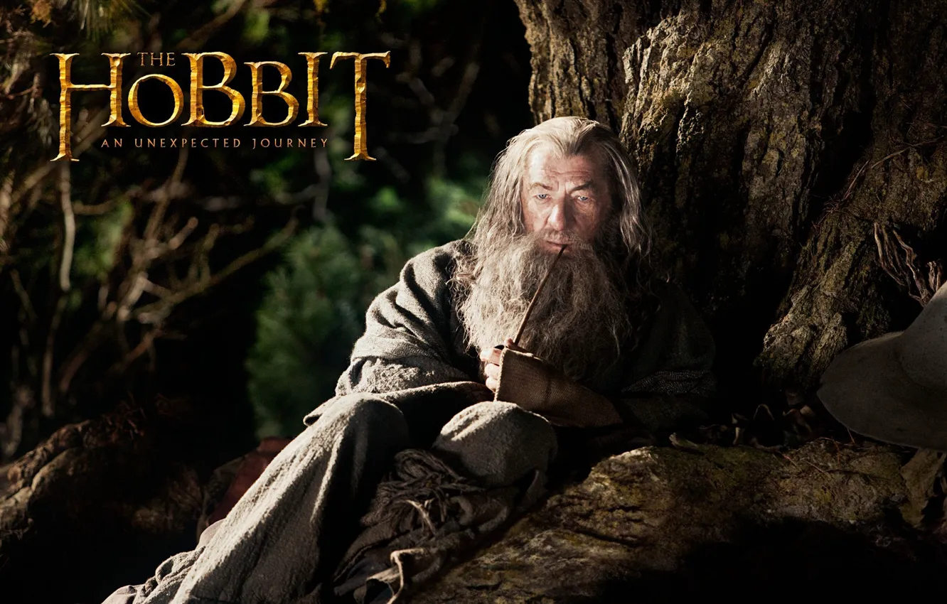 Фото обои серый, дерево, трубка, маг, борода, актёр, Gandalf, гэндальф