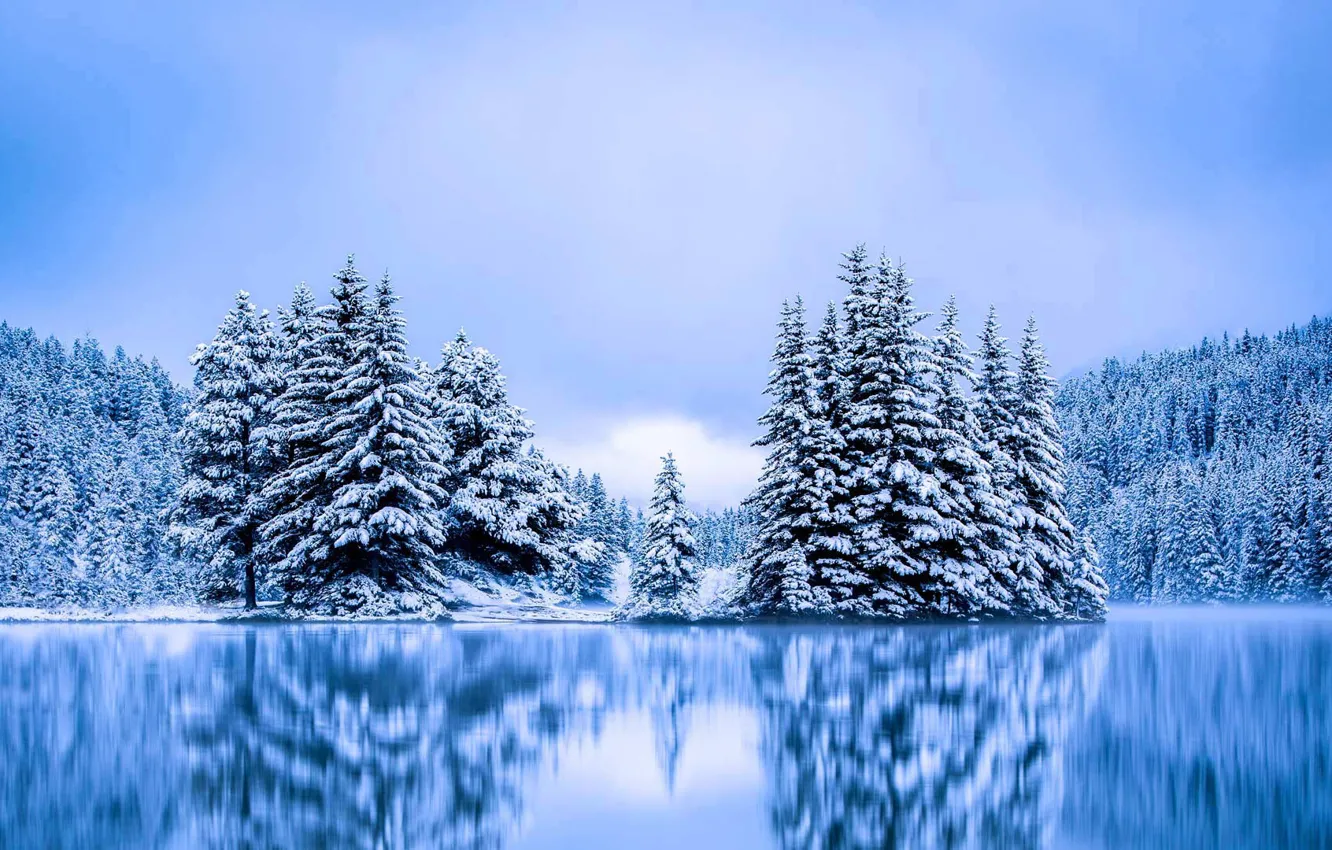 Фото обои зима, деревья, Канада, Альберта, Banff National Park, Two Jack Lake, озеро Ту Джек