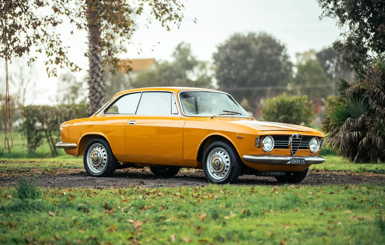 Фото обои Alfa Romeo, 1967, Giulia, Alfa Romeo Giulia Sprint GT