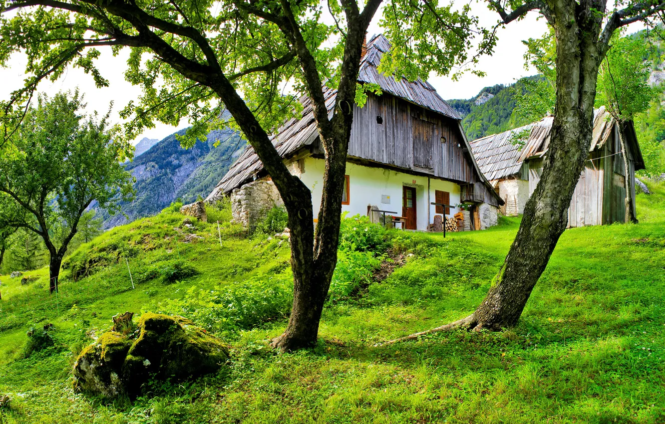 Фото обои небо, трава, облака, деревья, горы, природа, дом, Словения