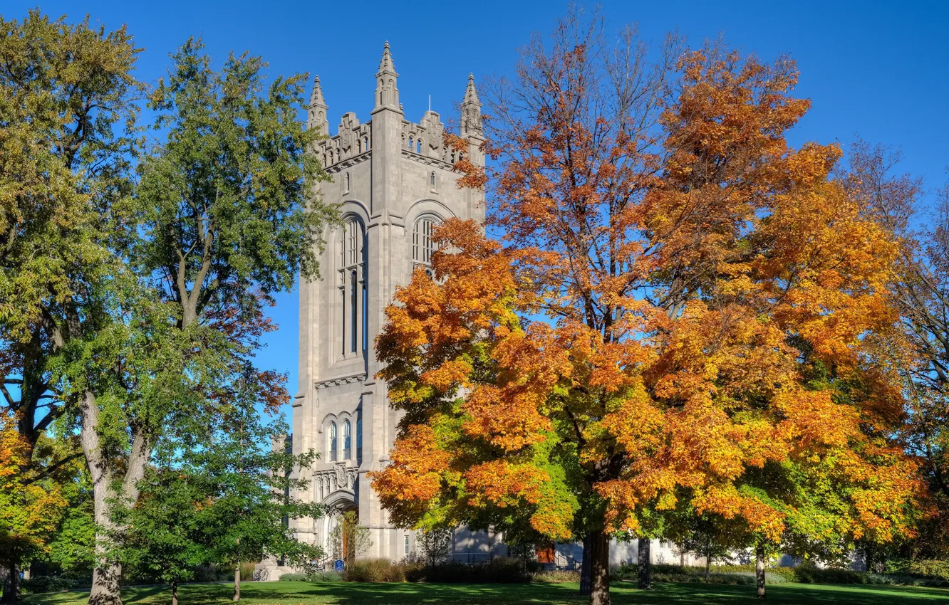 Фото обои осень, деревья, парк, башня