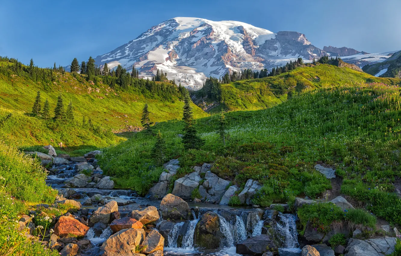 Фото обои деревья, горы, ручей, камни, Mount Rainier, Каскадные горы, Washington State, Cascade Range
