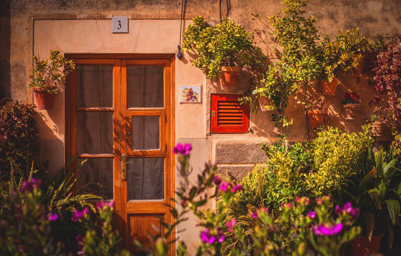 Фото обои house, flowers, door