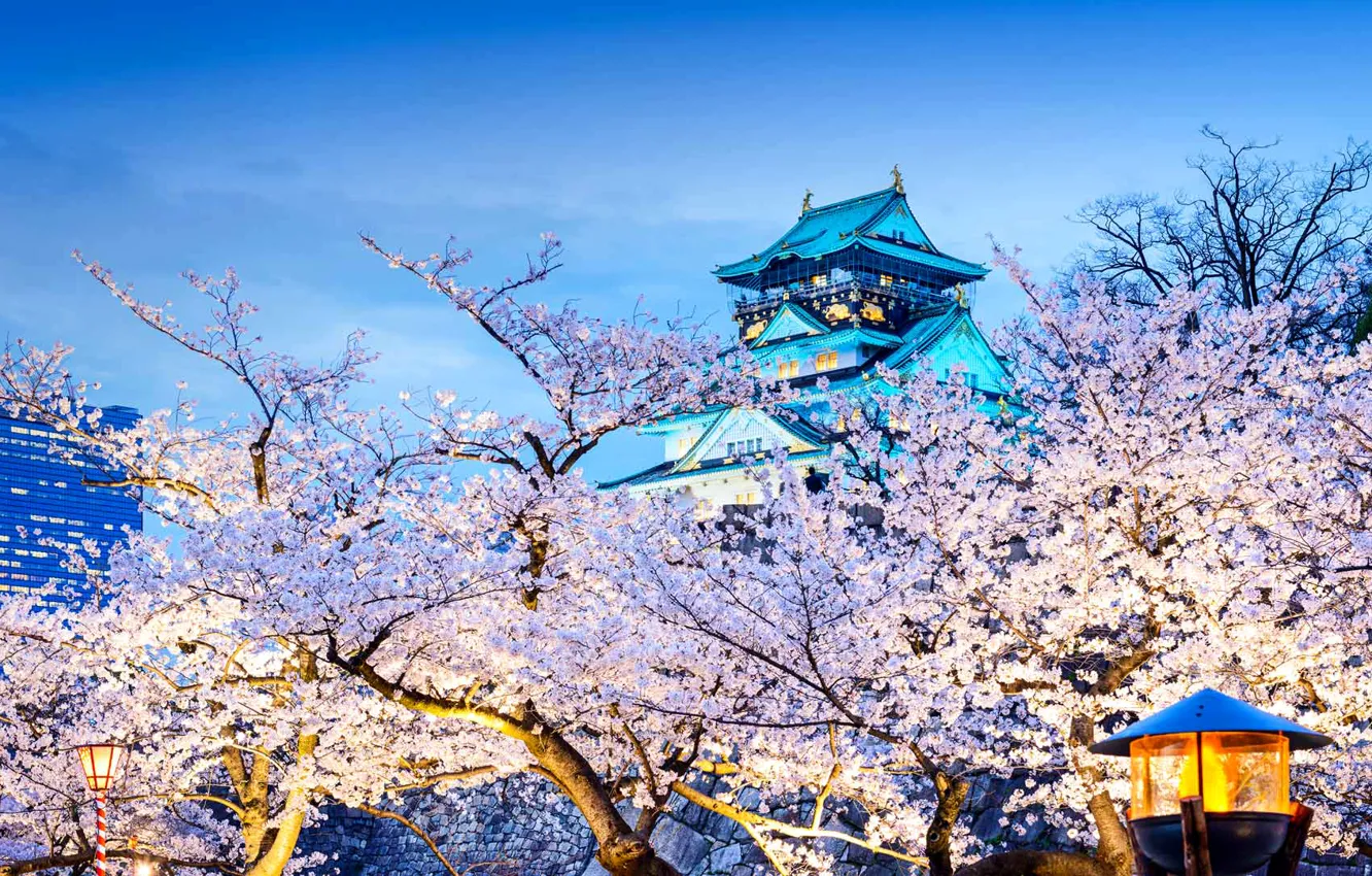 Фото обои дом, весна, Япония, сакура, храм, цветение, Осака